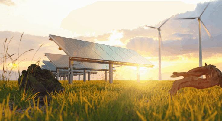 história zelená energia