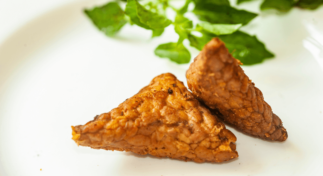 alternatíva k mäsu tempeh