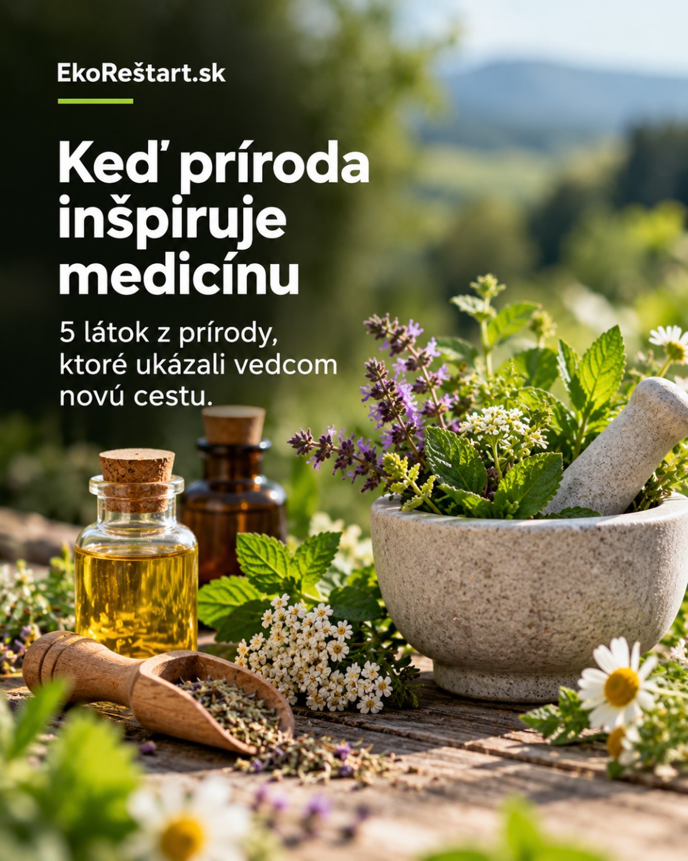 🌿 Čo majú spoločné včelí jed, kôra stromu, palina, morský slimák či obyčajná pleseň?

Na prvý pohľad možno nič. No práve príroda ukrýva látky, ktoré vedcom pomohli objaviť alebo vyvinúť významné liečivá a nové smery v medicíne 🔬

Niektoré prírodné látky sa používajú priamo, iné sa stali inšpiráciou pre vývoj modernejších a bezpečnejších liekov.

V našom článku na EkoRestart.sk sme sa pozreli na 5 zaujímavých príkladov, keď príroda ukázala medicíne novú cestu, od rastlín až po živočíchy a mikroorganizmy.

👉 Ktorý z týchto príbehov vás prekvapil najviac?

#EkoRestart #liekyzprirody #priroda #medicina #veda